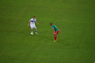 开云体育登陆入口-哈兰德绝杀背后的训练与VAR争议，哈兰德生涯